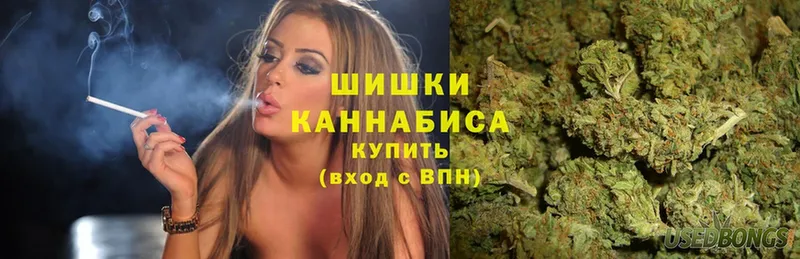 Шишки марихуана OG Kush  Энем 